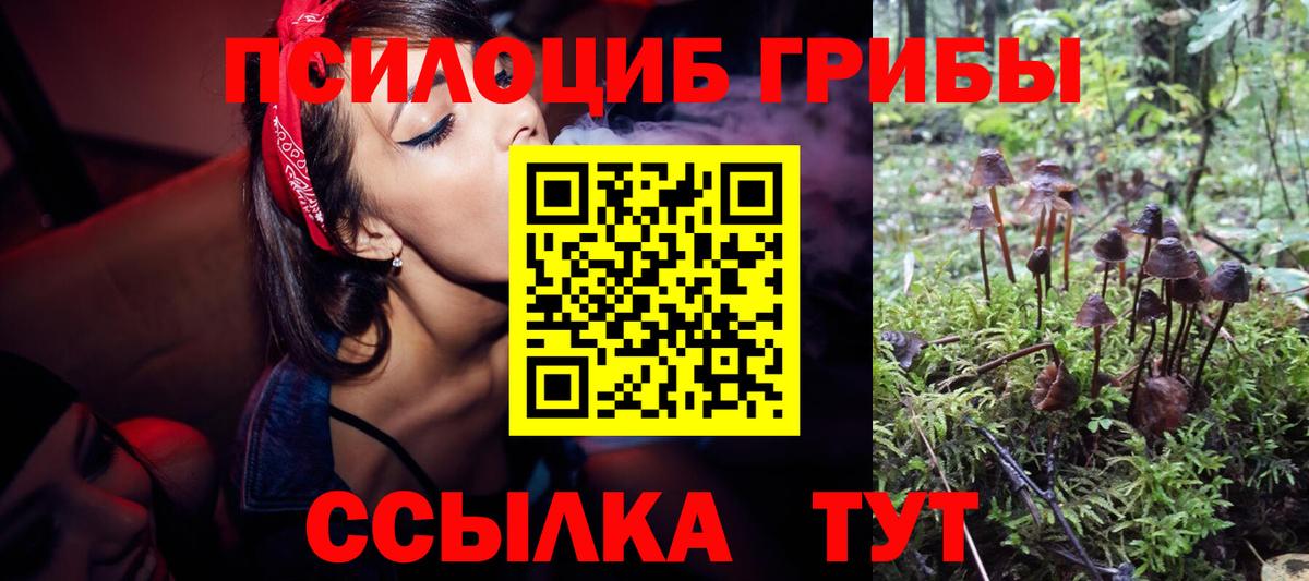 Псилоцибиновые грибы Psilocybe Рыбинск